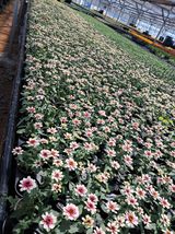 전희분님의 자유주제·자유게시판 작성글 사진