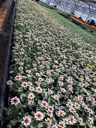 전희분님의 자유주제 · 자유게시판 작성글 사진