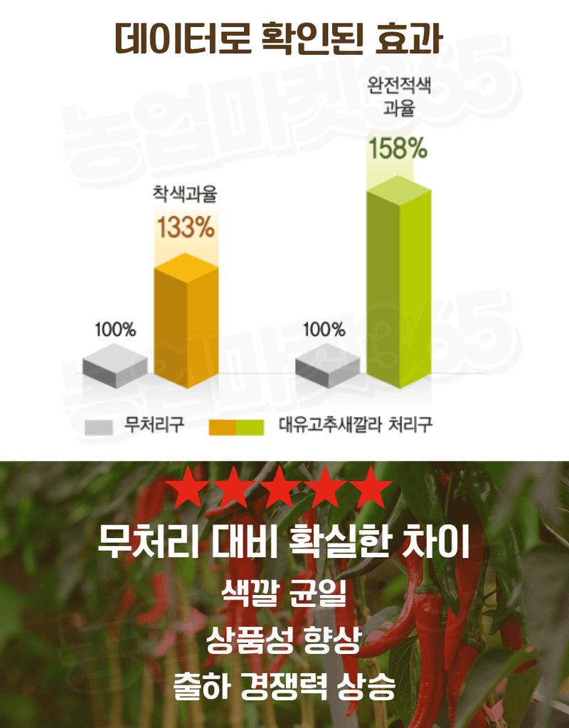 농업마켓365님의 장터 판매 상품 [대유 고추칼라 500ml 고추착색제 비대제 착과촉진제 식물영양제] 첨부 사진