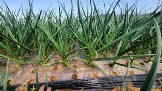 조새힘님의 자유주제 · 자유게시판 작성글 사진