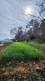 조새힘님의 자유주제·자유게시판 작성글 사진