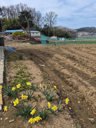 Kns4324님의 자유주제 · 자유게시판 작성글 사진