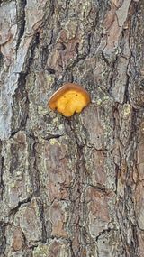 팜모닝 자유주제·자유게시판 게시글 이미지