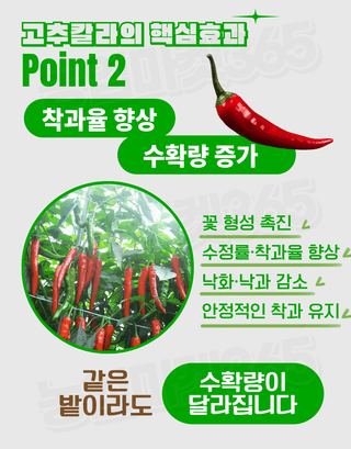 농업마켓365님의 작성글 사진