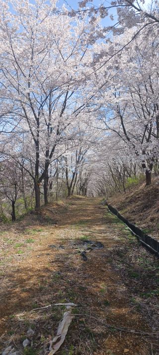 테리우스님의 자유주제 · 자유게시판 작성글 사진