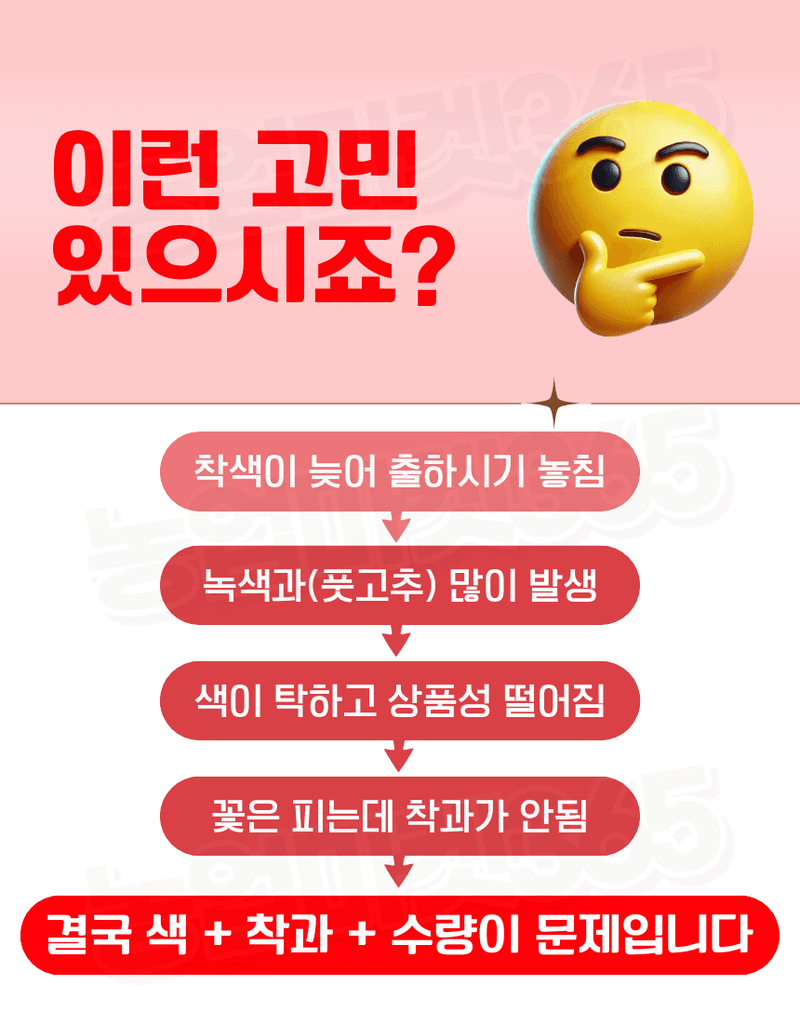 농업마켓365님의 장터 판매 상품 [대유 고추칼라 500ml 고추착색제 비대제 착과촉진제 식물영양제] 첨부 사진