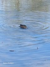 팜모닝 자유주제·자유게시판 게시글 이미지