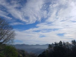 연향님의 자유주제 · 자유게시판 작성글 사진