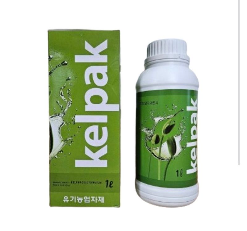 장터 상품 [켈팍 해조추출물 뿌리발근 촉진 세포분열 냉해 식물영양제 ] 썸네일