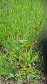 최한섭님의 자유주제·자유게시판 작성글 사진