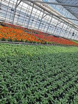 전희분님의 자유주제·자유게시판 작성글 사진