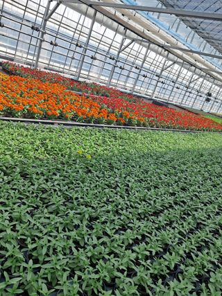 전희분님의 자유주제 · 자유게시판 작성글 사진