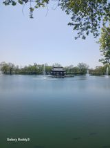 팜모닝 자유주제·자유게시판 게시글 이미지