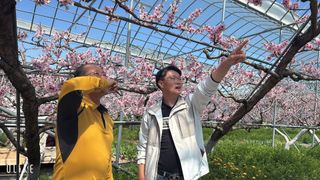 달맛햇복숭아농원님의 자유주제 · 자유게시판 작성글 사진