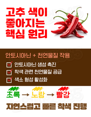 농업마켓365님의 작성글 사진