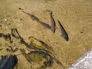 MSG0074님의 자유주제 · 자유게시판 작성글 사진