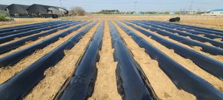 정진해님의 자유주제 · 자유게시판 작성글 사진