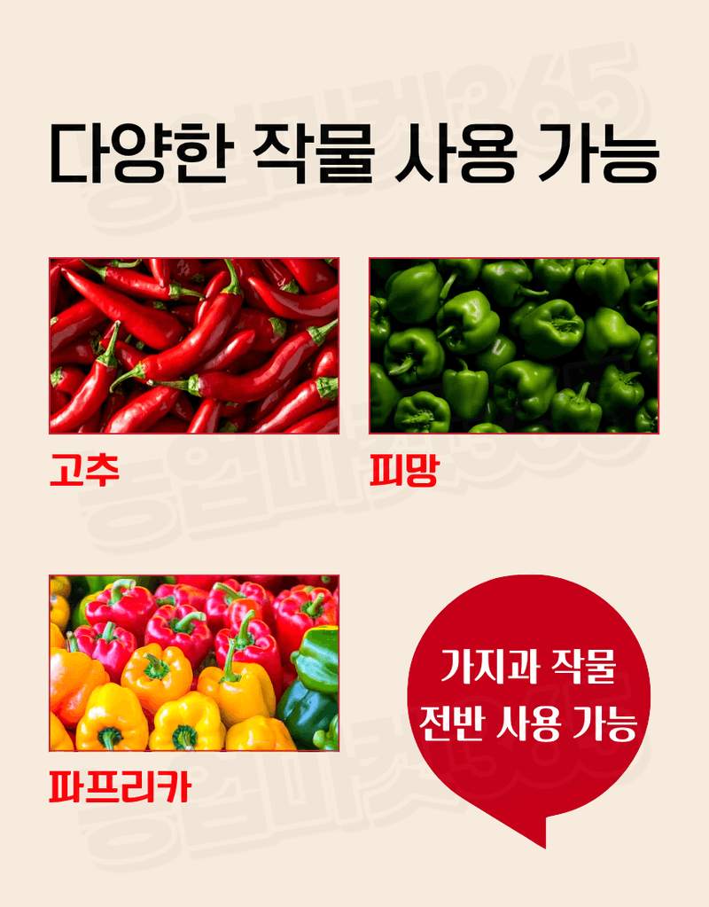 농업마켓365님의 장터 판매 상품 [대유 고추칼라 500ml 고추착색제 비대제 착과촉진제 식물영양제] 첨부 사진