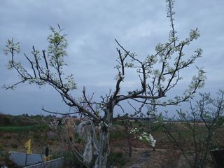 임수백 님의 자유주제 · 사진전 작성글 사진