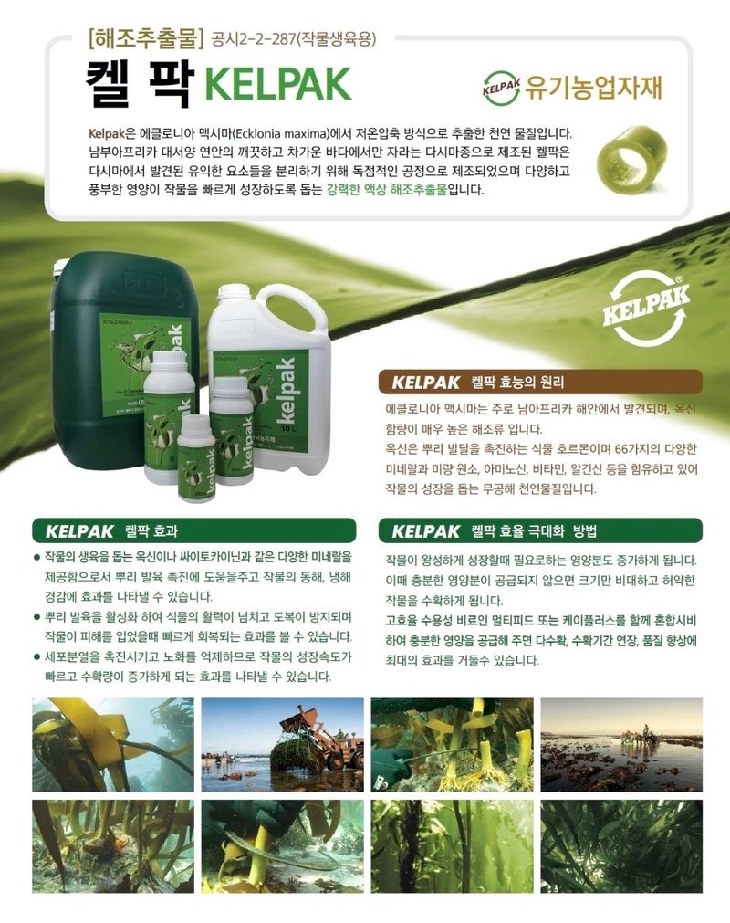 대산농사대장님의 장터 판매 상품 [켈팍 해조추출물 뿌리발근 촉진 세포분열 냉해 식물영양제 ] 첨부 사진