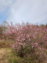 팜모닝 자유주제·자유게시판 게시글 이미지