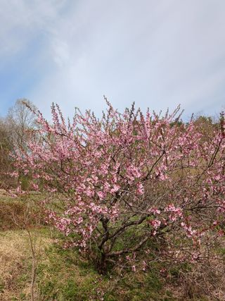 연향님의 자유주제·자유게시판 작성글 사진