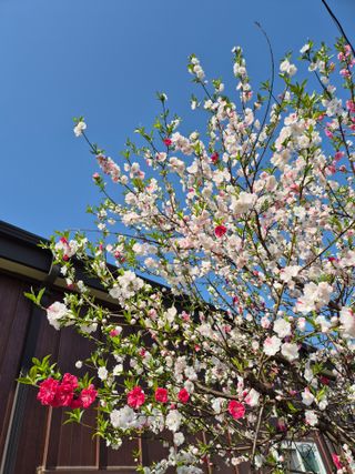 리챠드님의 자유주제·자유게시판 작성글 사진