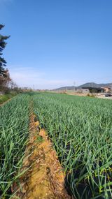 조새힘님의 자유주제·자유게시판 작성글 사진