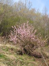 연향님의 자유주제·자유게시판 작성글 사진