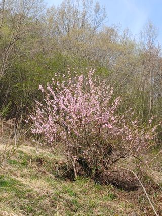 연향님의 자유주제 · 자유게시판 작성글 사진