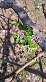 작은정원 박기석님의 자유주제·자유게시판 작성글 사진
