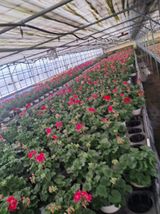 팜모닝 자유주제·자유게시판 게시글 이미지