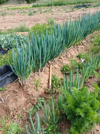임수백 님의 자유주제 · 사진전 작성글 사진