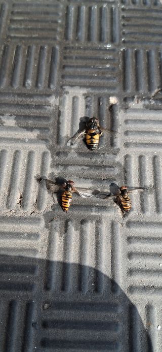 우철님의 자유주제 · 자유게시판 작성글 사진