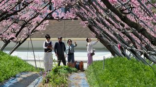 달맛햇복숭아농원님의 자유주제 · 자유게시판 작성글 사진