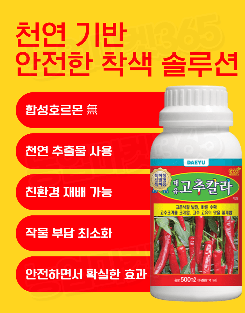 농업마켓365님의 장터 판매 상품 [대유 고추칼라 500ml 고추착색제 비대제 착과촉진제 식물영양제] 첨부 사진