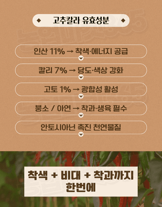 농업마켓365님의 작성글 사진
