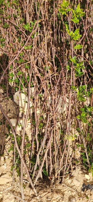 임원식님의 자유주제 · 자유게시판 작성글 사진