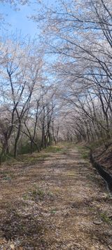 팜모닝 자유주제·자유게시판 게시글 이미지