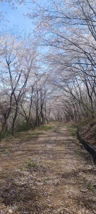 테리우스님의 자유주제·자유게시판 작성글 사진