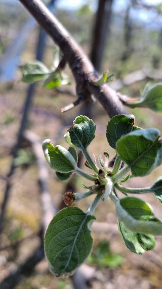 작은정원 박기석님의 자유주제·자유게시판 작성글 사진