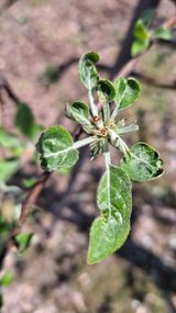 작은정원 박기석님의 자유주제·자유게시판 작성글 사진