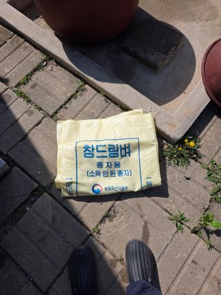 최경림님의 자유주제 · 자유게시판 작성글 사진