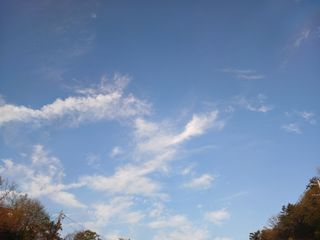 연향님의 자유주제 · 자유게시판 작성글 사진