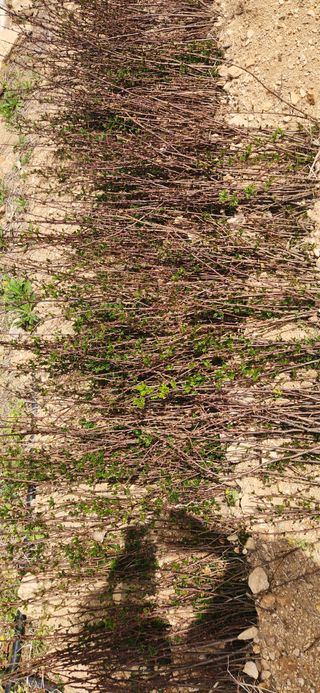 임원식님의 자유주제 · 자유게시판 작성글 사진