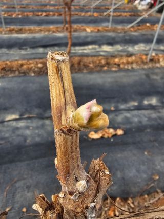 최순호님의 자유주제 · 자유게시판 작성글 사진