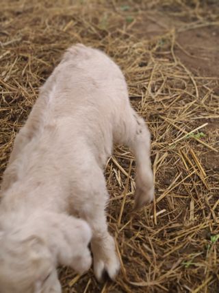 (천지산)님의 자유주제 · 자유게시판 작성글 사진