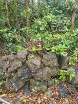 윤영도님의 자유주제·자유게시판 작성글 사진