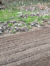 팜모닝 자유주제·자유게시판 게시글 이미지