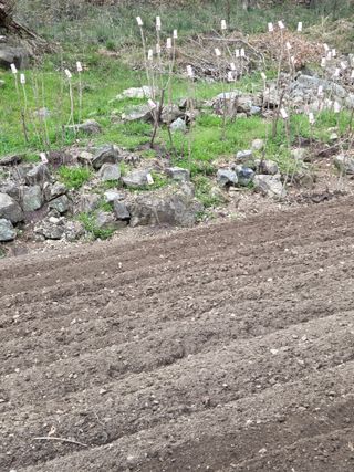 knlee님의 자유주제 · 자유게시판 작성글 사진